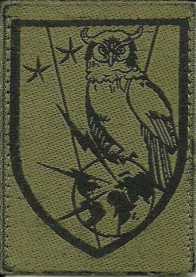 Insigne Tissu, Patch Militaire De La Brigade Franco Allemande-basse