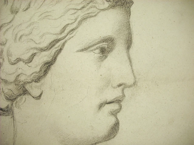 Dibujo Original c1880 Según Antiguo Retrato De Joven Romano O Griego 48CM