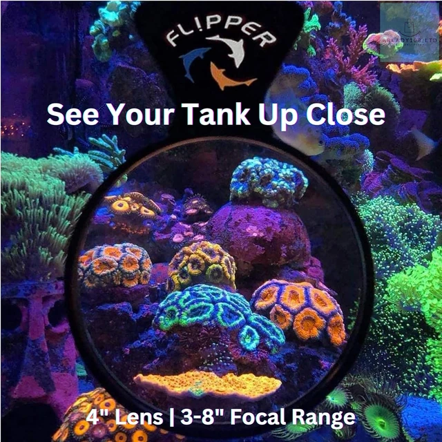 Flipper DeepSee Magnified Magnetic Aquarium Viewer 4" 3