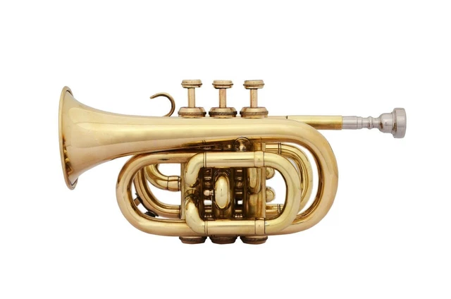 Mini Pocket-Trumpet-Brass-Colored-Bb-Pitch-Free-Hard-Case-Mouthpiece