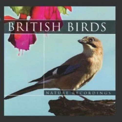 Global Journey British Birds   CD