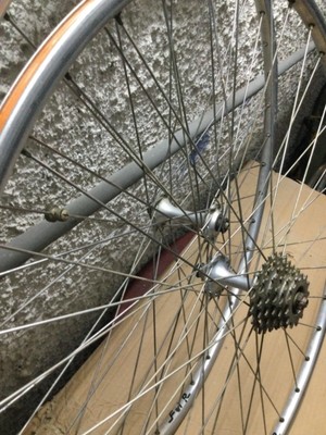 Campagnolo CERCHIO 26'' MOUNTAIN BIKE CAMPAGNOLO STHENO POLISH 36F ARGENTO 