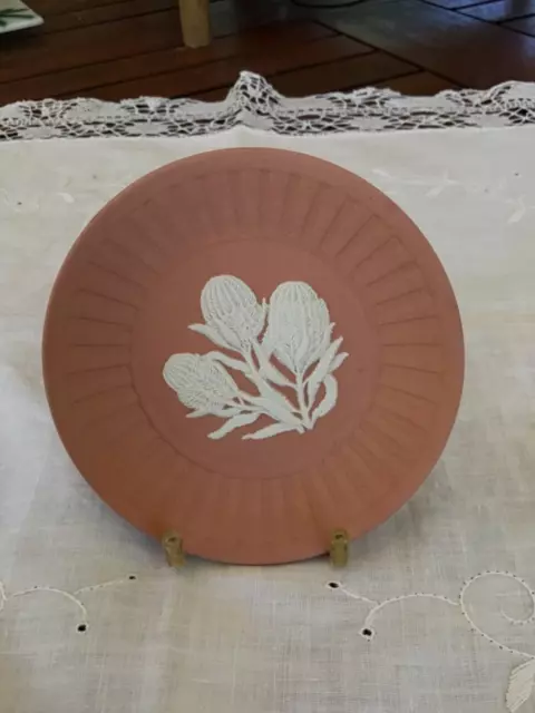 Wedgwood WHITE on TERRACOTTA Jasper Ware BANKSIA Round Tray Plate Dish