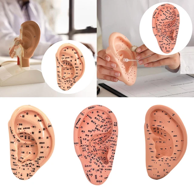 Kit D'acupression : 4 Cartes Des Points D'acupuncture (3 Corps + 1 Oreille) + 10 Anneaux - Neuf