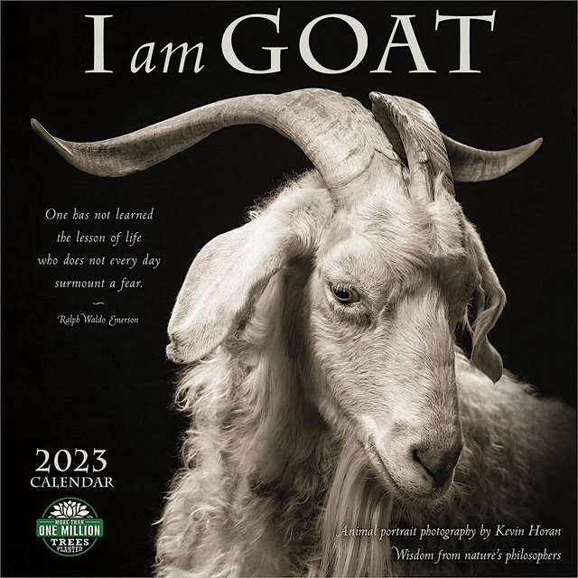 AMBER LOTUS I Am Goat 2023 Wall Calendar w 6.00 PicClick