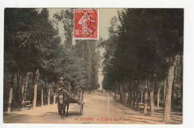 COSNE SUR LOIRE - Nievre - CPA 58 - Allée des Tilleuls coupling - tear rest