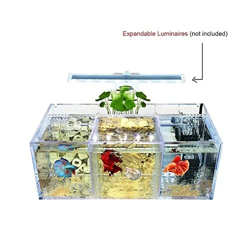 Betta Fish Tank Acrylic Material Mini Desktop Aquarium Goldfish Mini Fish Tan... 3