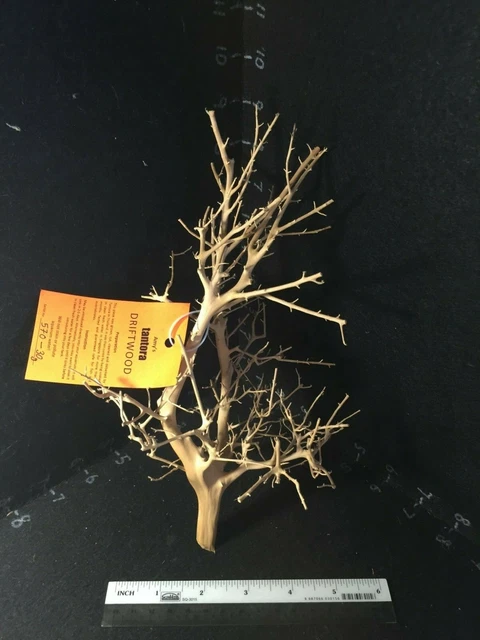Tantora DRIFTWOOD (Little Moss tree) natural cured shrimp fish safe tank deco