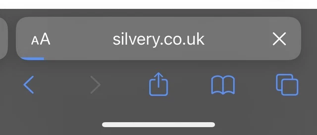 Silvery.co.uk Domain Name - Dictionary ONE WORD DOMAIN Name For Sale! Transfer