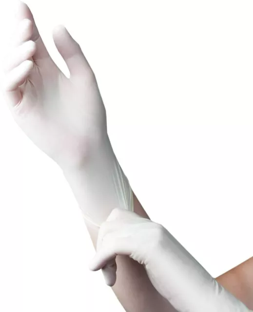 Latex Disposable Powder Free Exam Gloves Food Mechanic Dentist Sz. L Box of 100