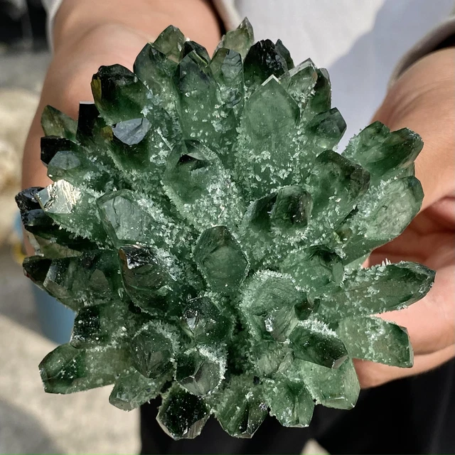 1.30LB New Find Green Phantom Quartz Crystal Cluster Mineral Specimen Healing 5