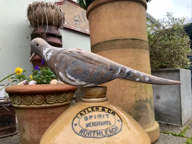 An early 20th century English estate Hand made folk art Stunning decoy pigeon