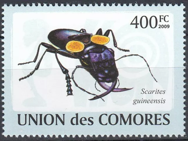 Komoren postfrisch MNH Käfer Insekt Tier Natur Scarites guineensis Jahr 2009 /47