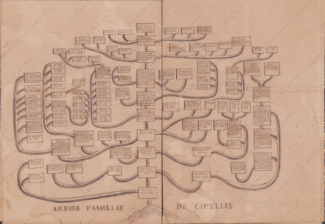 Arbor Familiae De Cipellis Albero genealogico famiglia Cipelli Araldica