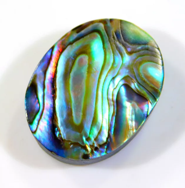 27 CT Superbe Naturel Arc-en-Ciel Feu Abalone Coque Ovale Cabochon Gemme Ch =3