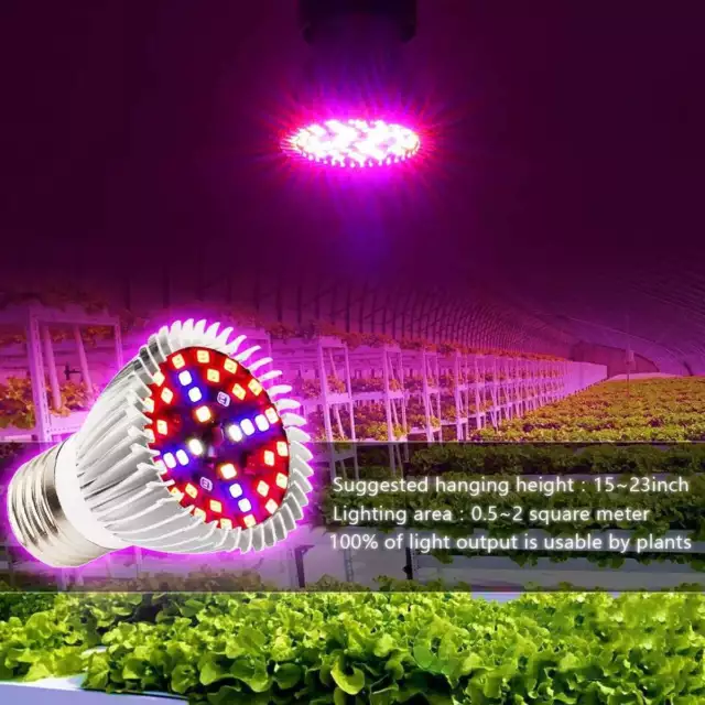 100W Full Spectrum E27 E26 LED Grow Light Bulb Lamp for Veg Bloom Indoor Plant 2