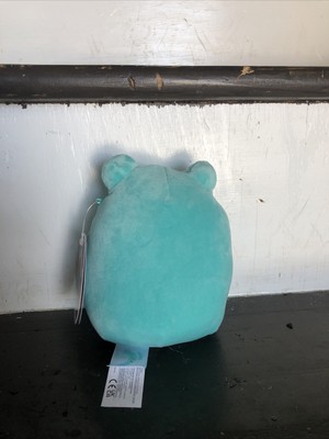 ludwig the frog squishmallow