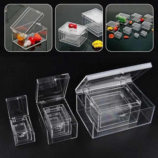 Rustark Kit 15 Outils Entomologie - Aiguilles, Planche Écartement, Pinces, Ciseaux - Kit Complet Pour Papillons & Insectes