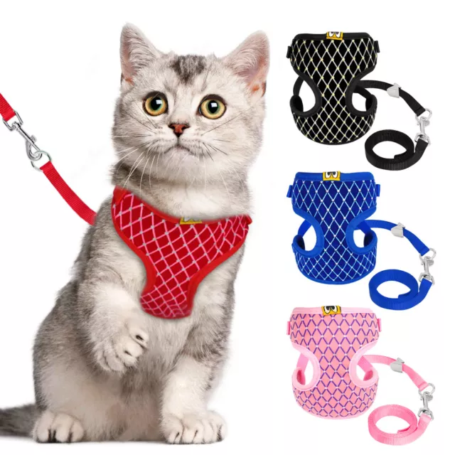 Kitten Cat Walking Harness Lead Leash Collar Adjustable Small Dog Vest for Pets