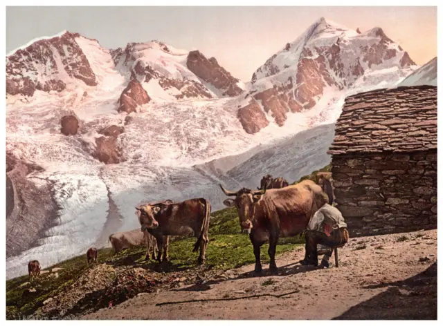 Suisse, Abend auf der Alp, Soir dans les Alpes Vintage albumen print, photoc