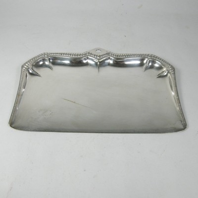 SWEET HOME Raccogli Briciole Cameriere Paletta in Acciaio Inox cod.23003 cm 16x2,3 by Varotto & Co. 