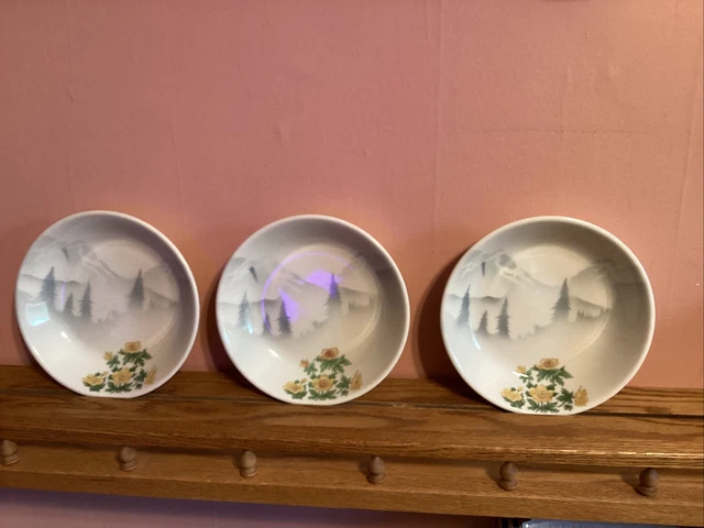 3 Great Northern Railway Glory Of The West Syracuse Flowers Mountains Berry Bowl