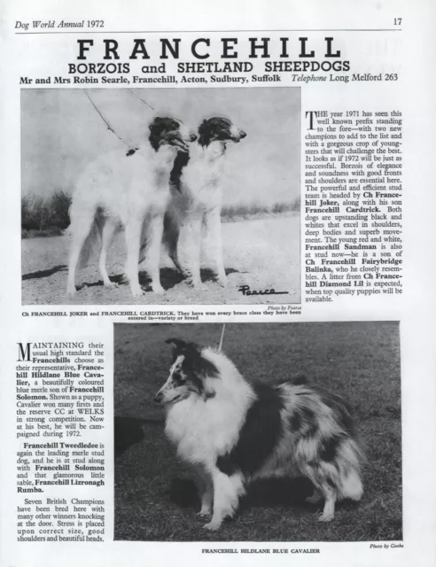 Borzoi Dog World 1972 Dog Breed Kennel Advert Print Page Francehill Kennels