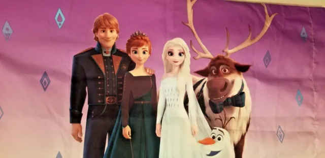 Funda de almohada Disney Frozen Princesa Elsa Ana Olaf estándar diseño de 2 caras gráficos
