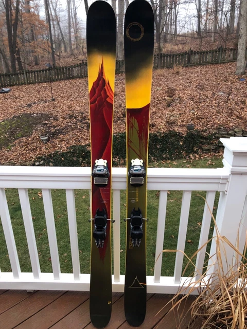 ラインサーフランシスベーコン（板、ツアービンディング、シールセット）