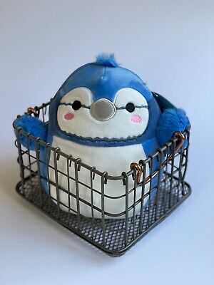 babs the bluejay