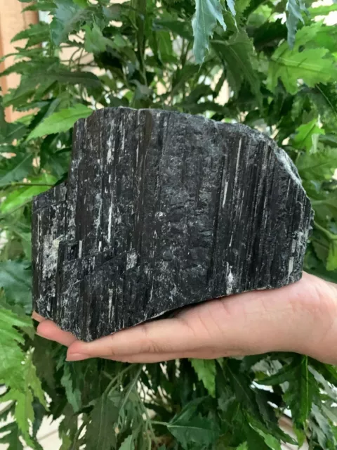 Extra Large Black Tourmaline Chunk / Rod / Log, Natural Rough Black Tourmaline