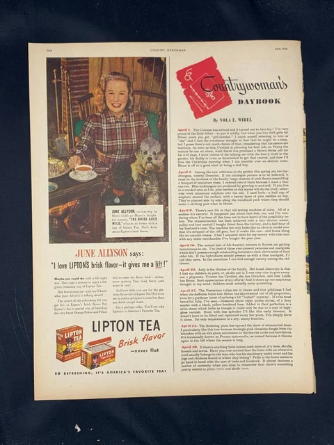 Magazine Ad* - 1948 - Lipton Tea - June Allyson