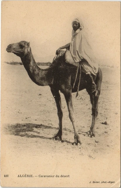 CPA AK ed. Geiser No. 416 Caravanier du desert ALGERIA (804264)