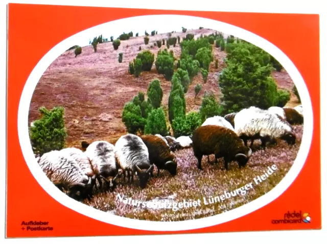 Souvenir-Aufkleber Lüneburger Heide Heidschnucken Niedersachsen AK 70er