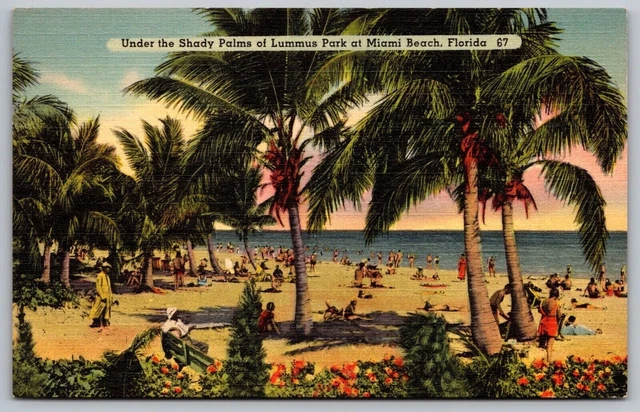Miami Beach Florida Lummus Park Palm Trees Oceanfront Linen UNP Postcard