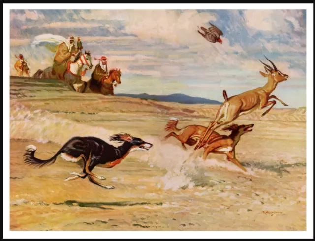 Saluki Dogs In Pursuit Lovely Vintage Style Dog Art Print Poster