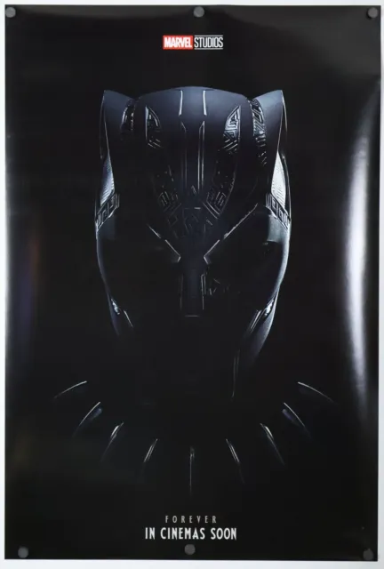 Black Panther Wakanda Forever original DS movie poster - 27x40 D/S INTL Adv GD