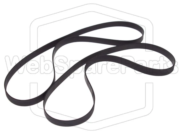 Courroie Scarificateur 295x12 - Compatible Grizzly ERV1300 - 5m295-12 - Pièce Détachée