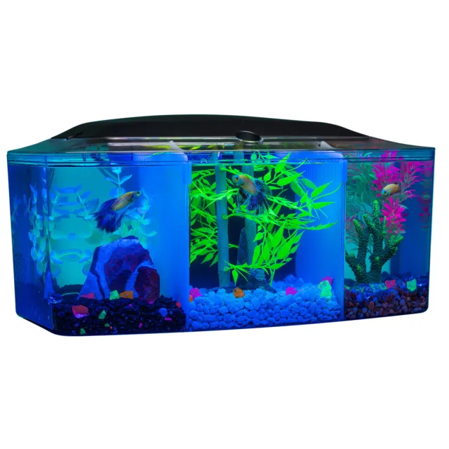 3 Gallon Betta Trilogy Fish Tank Aquarium w/LED Lights and Filter Water Tank US 2