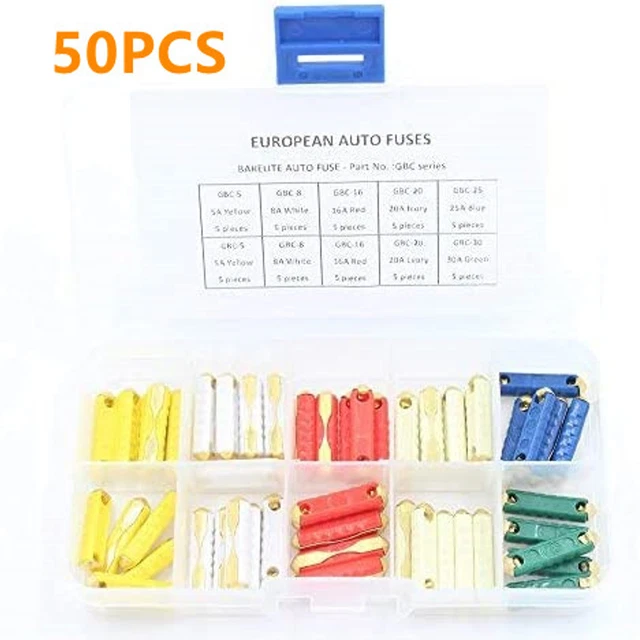 101 Pezzi Kit Assortimento di Mini Fusibili, Micro Mini Fusibile a Lama per Auto con Attrezzo Estrazione Fusibili di Ricambio per Auto Camper Camion