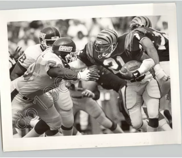 CINCINNATI BENGALS vs NEW YORK GIANTS, USA 1985 VTG NFL Football Press Photo