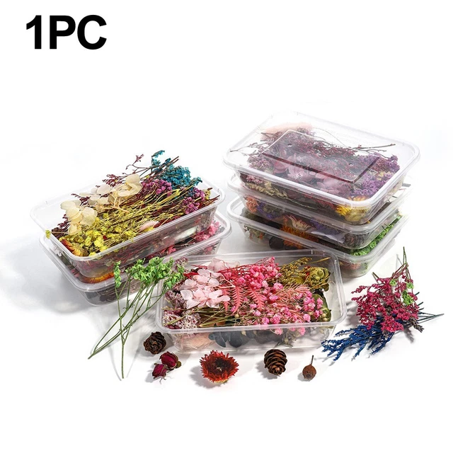 Whimsical Mixed Dried Flower Box Perfect for Resin Art and Candle Making