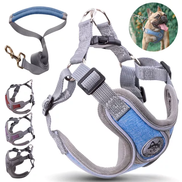 Puppy Small Dog Harness Outdoor Walking Lead Set Pets Breathable Reflective Vest