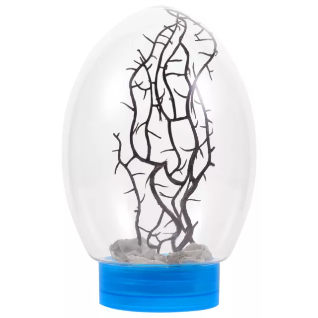 shrimp ecosystem Practical Small Fish Tank Aquatic Ecosystem Fish Tank Aquatic
