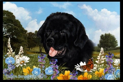 Summer Floor Mat - Newfoundland 39079