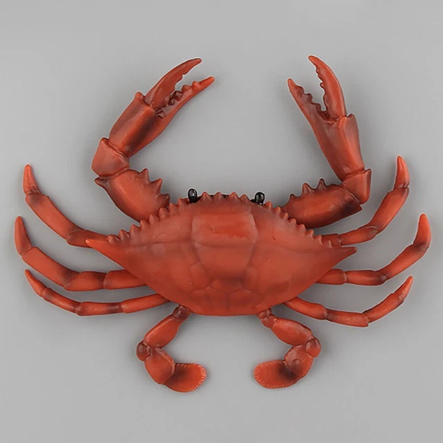 MAKING SIMULATION CRABS Kids Cognition Red Crab Model Sea Animal