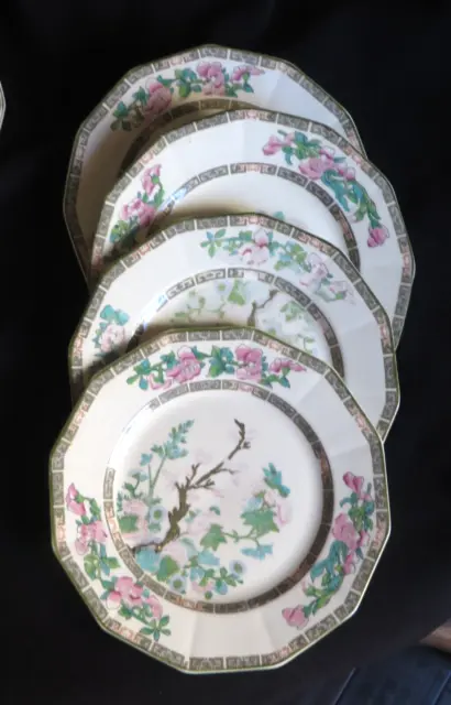 5 Myott, Son & Co. Ltd. INDIAN TREE Scalloped Greek Key 8" Plates