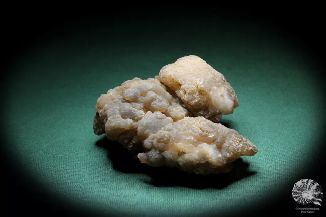 Chalcedon Marokko Stufe Mineral Sammlung Kristall Deko deco