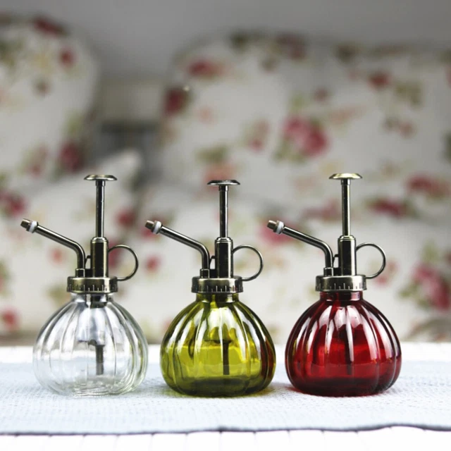 Wasserflasche Aus Glas Zimmerpflanzen Drinnen Leben Gartenspritze
