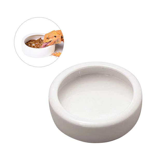 Dispensatore Cibo Pesci Cesti/Spirali Per Mangime Con Fermo In - Foto 2